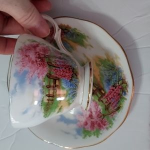 Queen Anne Meadowside Teacup&Saucer England Fine Bone China,Multicolors GUC